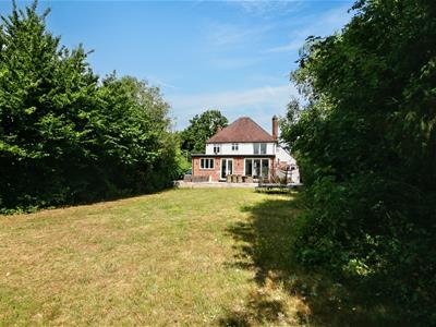 Picture 19